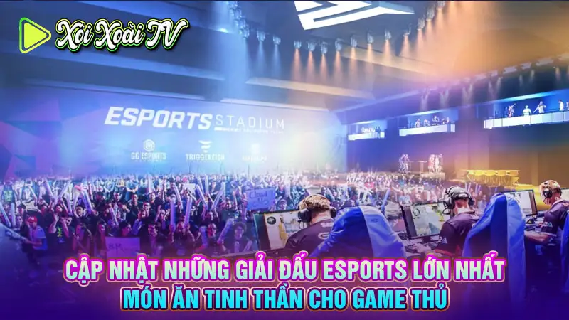 Giải đấu esports lớn nhất: món ăn tinh thần cho game thủ