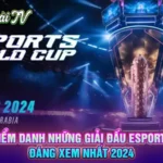 Điểm danh những giải đấu Esports đáng xem nhất 2024