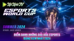 Điểm danh những giải đấu esports đáng xem nhất 2024