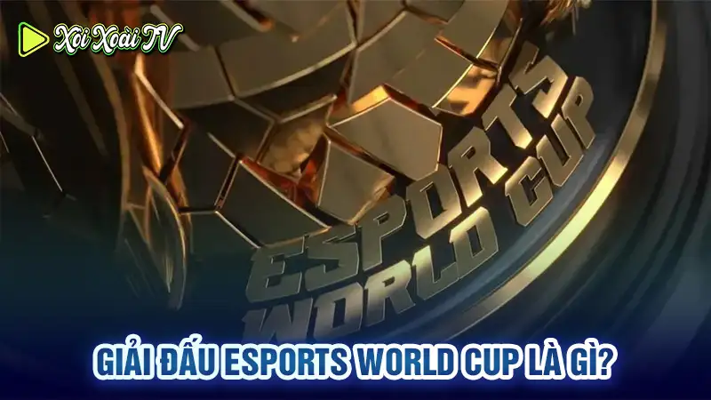 Giải đấu esports world cup là gì?