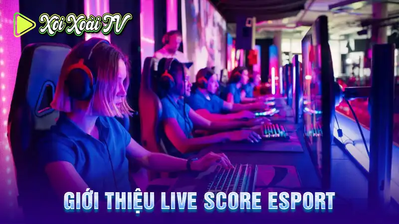 Giới thiệu live score esport