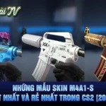 Những Mẫu Skin M4A1-S Tốt Nhất Và Rẻ Nhất Trong CS2 [2024]