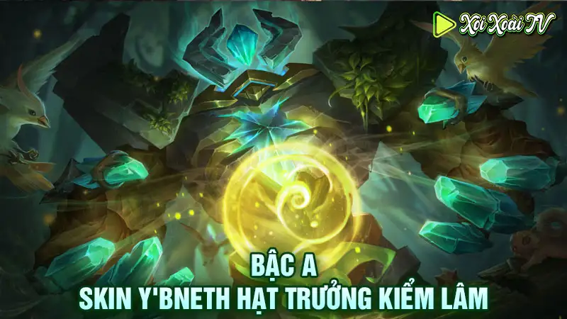 Skin y'bneth hạt trưởng kiểm lâm- bậc a