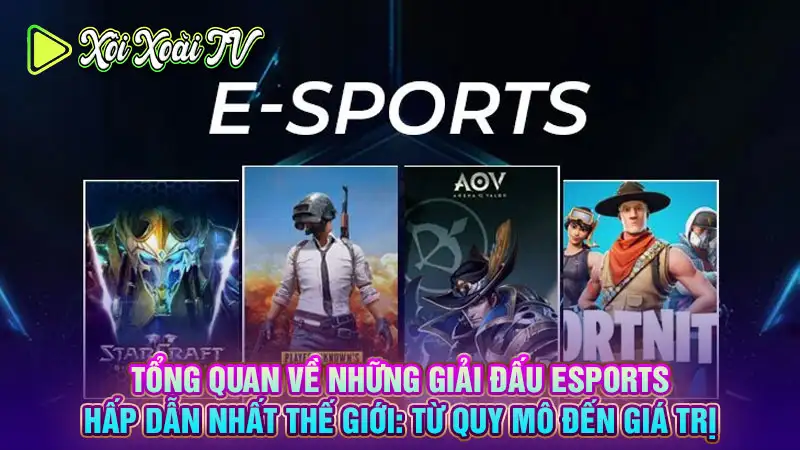 Tổng quan về những giải đấu esports hấp dẫn nhất thế giới: từ quy mô đến giá trị