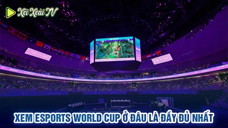 Xem esports world cup ở đâu