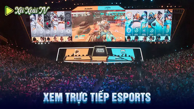 Xôi xoài tv xem trực tiếp esports