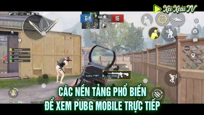 Các nền tảng phổ biến để xem pubg mobile trực tiếp