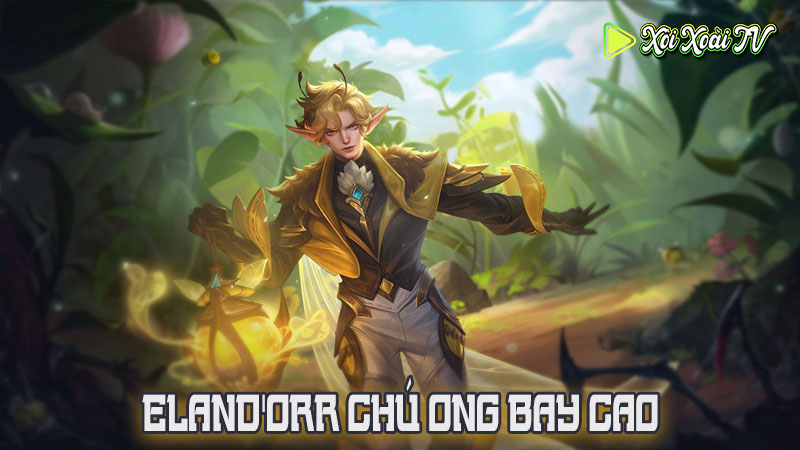 Eland'orr chú ong bay cao