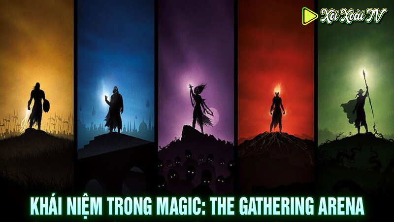 Khái niệm trong magic: the gathering arena người chơi nên nắm được 