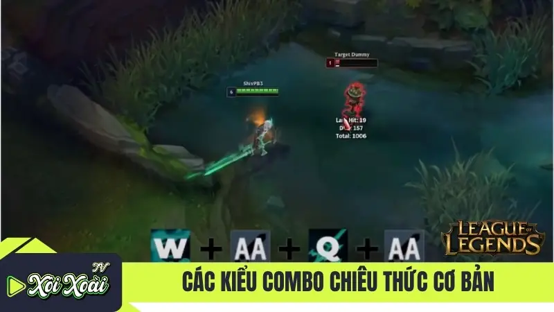 Các kiểu combo chiêu thức cơ bản