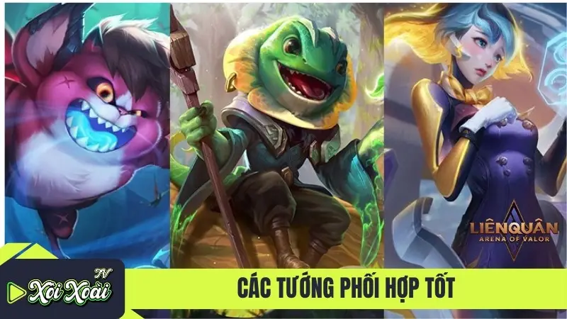 Các tướng phối hợp tốt