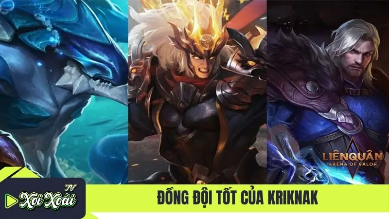 Đồng đội tốt của Kriknak