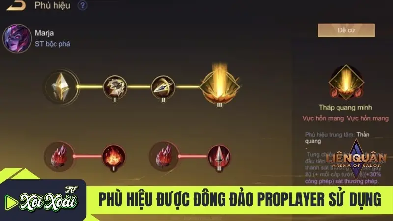 Phù hiệu được đông đảo proplayer sử dụng