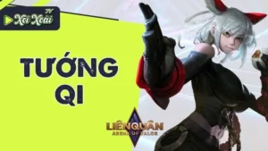 Qi Liên Quân