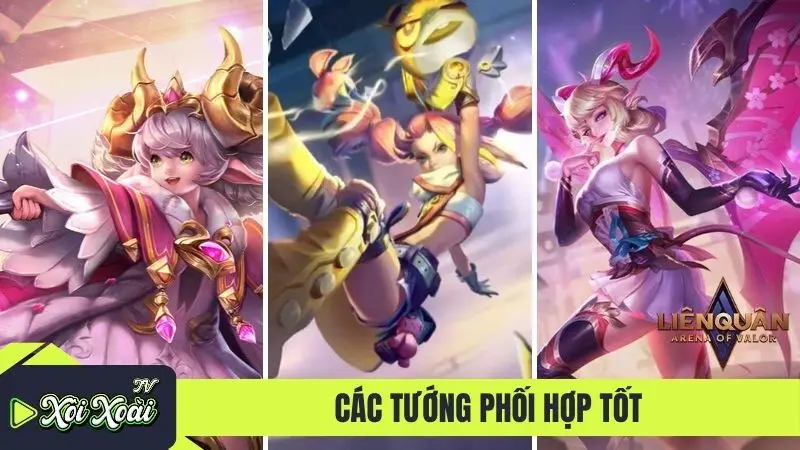 Các tướng phối hợp tốt