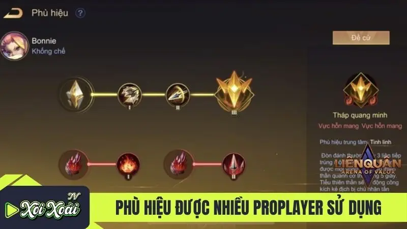 Phù hiệu được nhiều proplayer sử dụng