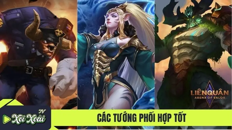 Các tướng phối hợp tốt